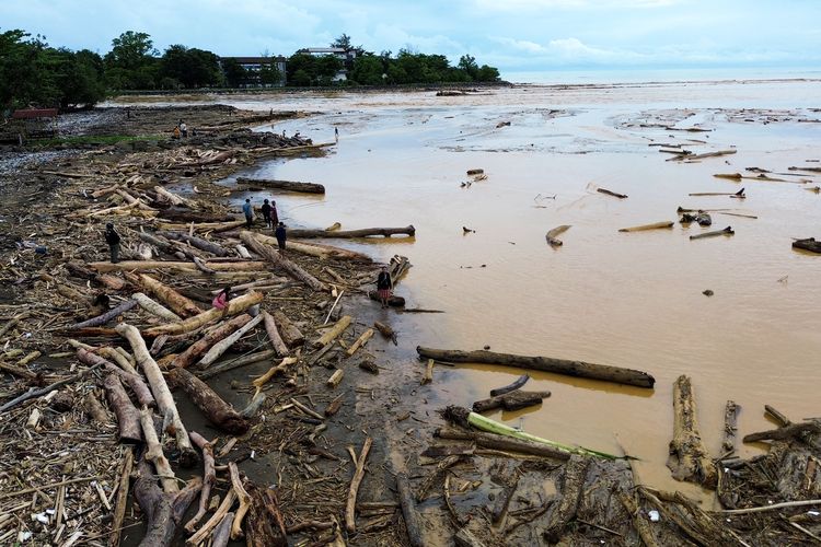 Kota Padang, banjir sumbar, banjir padang, kayu gelondongan, update banjir sumbar, banjir sumatera, update banjir padang, pantai di padang dipenuhi kayi gelondongan, BERITA FOTO: Wajah Pantai di Padang Usai Banjir Menerjang, Dipenuhi Kayu Gelondongan