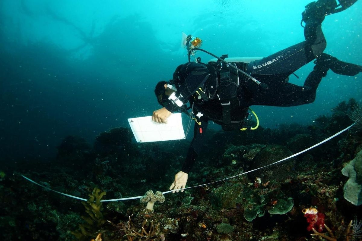Raja Ampat, 7 Spot snorkeling terbaik di Raja Ampat, 7 spot snorkeling terbaik di Raja Ampat, raja ampat, Wisata Raja Ampat, 7 Spot Snorkeling Terbaik di Raja Ampat, 7 Spot Snorkeling Terbaik di Raja Ampat dan Mengapa Kita Harus Menjaganya, 1. Pulau Arborek, 2. Desa Yenbuba, 3. Desa Sawandarek, 4. Pulau Friwen, 5. Pulau Kri, 6. Manta Sandy, 7. Teluk Kabui 