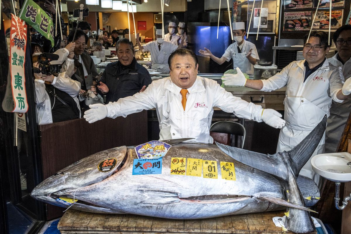 Jepang, Tuna Jepang Terjual Rp 54 Miliar di Lelang Tahun Baru, Pecahkan Rekor