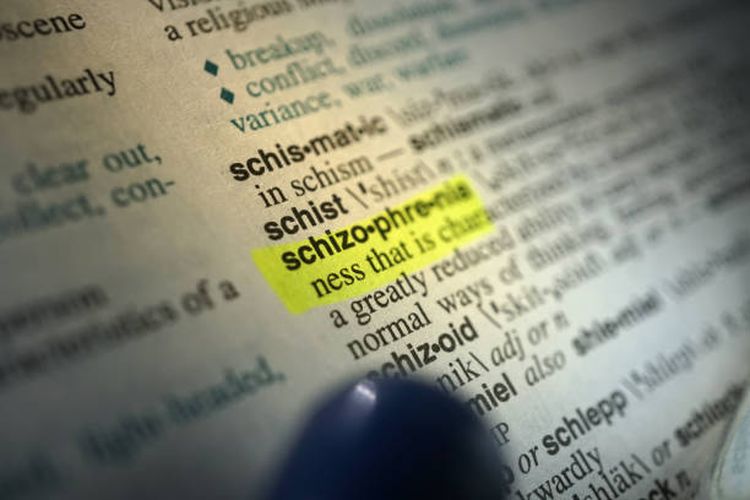 skizofrenia, Amnesti, gejala skizofrenia, penyebab skizofrenia, presiden prabowo subianto, mengenal skizofrenia, skizofrenia adalah apa, narapidana skizofrenia, Napi Skizofrenia Kasus Pembunuhan Dapat Amnesti, Ini Penjelasan Skizofrenia Menurut Ahli