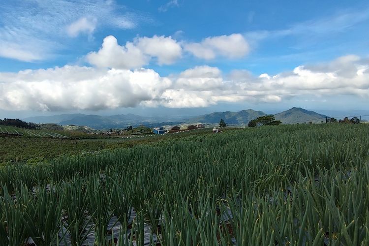 Nepal van Java, Kaliangkrik, Gunung Sumbing, gunung sumbing, aktivitas di nepal van java, wisata di nepal van java ngapain aja, 5 Aktivitas Seru yang Wajib Dicoba Saat Datang ke Nepal van Java, 1. Menikmati Pemandangan dari Atas Gedung Serbaguna Desa Butuh, 2. Menginap di Homestay dan Berinteraksi dengan Warga Lokal, 3. Jalan Pagi Menyusuri Desa, 4. Menikmati Mi di Warung Tongkrong Atas Awan, 5. Berbelanja Sayur Segar