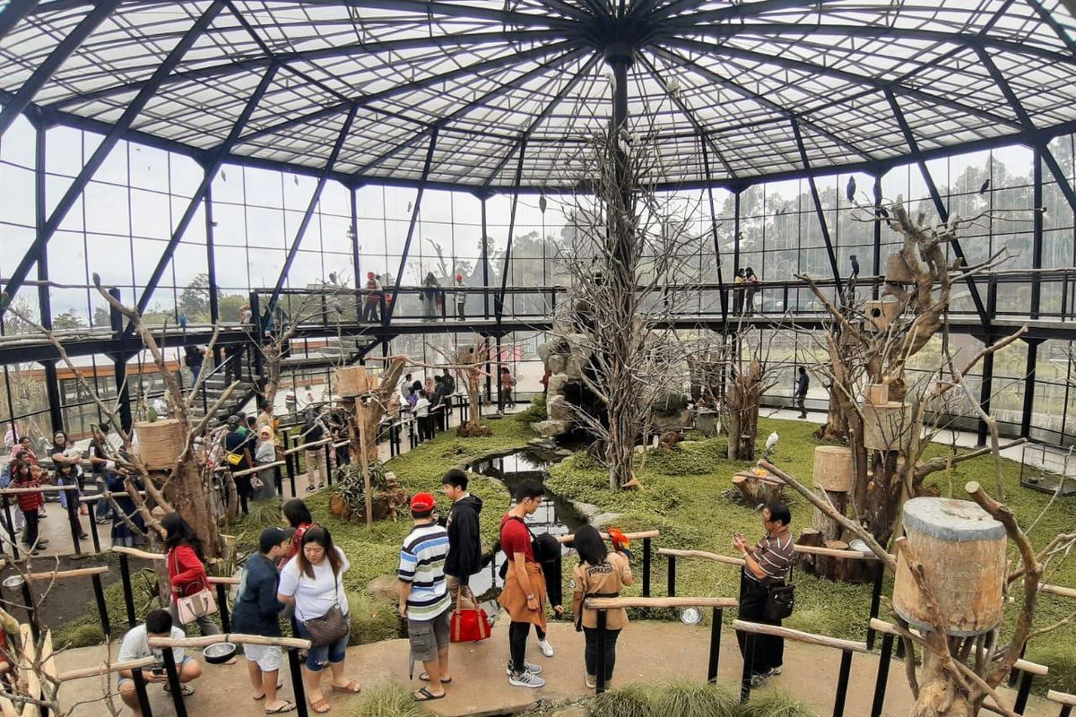 liburan anak di lembang, aktivitas seharian di lembang park zoo, wahana lembang park zoo bandung, spot foto di kebun binatang lembang, Seharian di Lembang Park &amp; Zoo, Tak Hanya Lihat Satwa, Interaksi Seru dengan Satwa di Petting Zoo Lembang, Feeding Gajah dan Satwa Eksotis Lainnya, Main Wahana Anak di Storyland yang Ramah Keluarga, Ngopi dan Bersantai di Neo Cat Café, Berburu Foto di Spot Instagramable Lembang Park &amp; Zoo