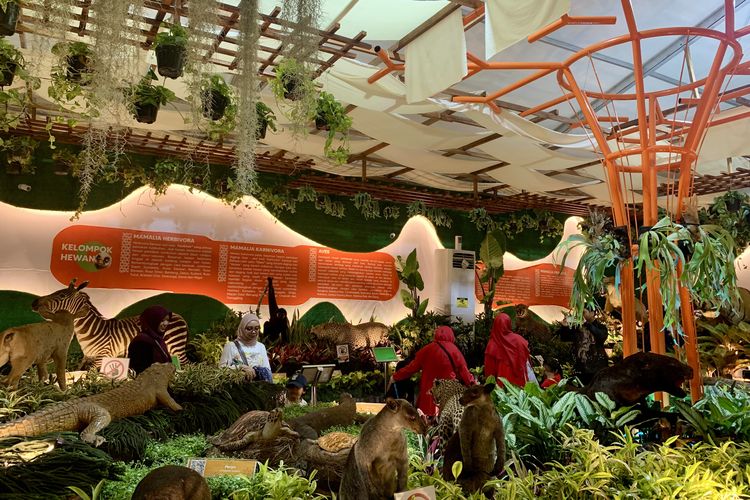 pameran flona di lapangan banteng 2025, pameran flona 2025, ada apa saja di pameran flona 2025, taman margasatwa ragunan di pameran flona 2025, isi taman margasatwa ragunan pameran flona 2025, Ada Hewan yang Diawetkan di Pameran Flona 2025, Mampir ke Stan Ini