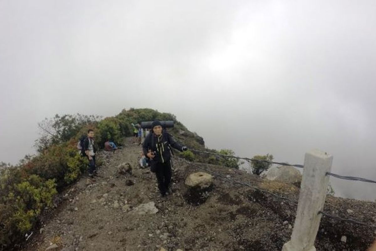 Penutupan pendakian, Gunung Gede Pangrango, Taman Nasional Gunung Gede Pangrango, gunung gede pangrango, pendakian gunung gede pangrango, penutupan pendakian, Update, Pendakian Gunung Gede Pangrango Ditutup hingga 21 April 2025