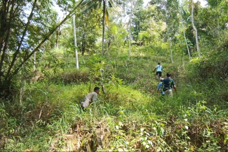Pacitan, Sekolah diliburkan, pembunuhan di pacitan, pembunuhan pacitan, pelaku wawan, pembantaian keluarg, sekolah diliburkan karena pelaku pembunuhan belum ditangkap, Pelaku Pembunuhan Belum Tertangkap, 6 SD di Pacitan Diliburkan, Siswa Belajar di rumah, Ruang Kelas Kosong, Guru Tetap Hadir, Warga Panik, Camat Arjosari Imbau Tetap Tenang, Polisi Kerahkan Anjing Pelacak K9, Kronologi Pembantaian Brutal, Korban dan Kondisi Terkini