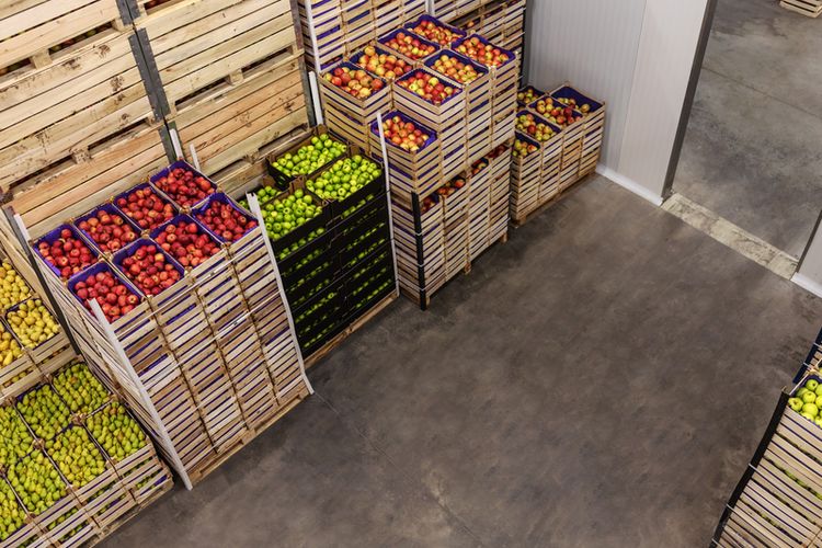 tips simpan buah di kulkas, tips menyimpan buah di kulkas, cara menyimpan buah agar awet, tips menyimpan buah potong agar tahan lama, menyimpan buah tanpa kulkas, Artikel makanan, Tips Simpan Buah di Rumah, Biarkan di Suhu Ruang Dahulu