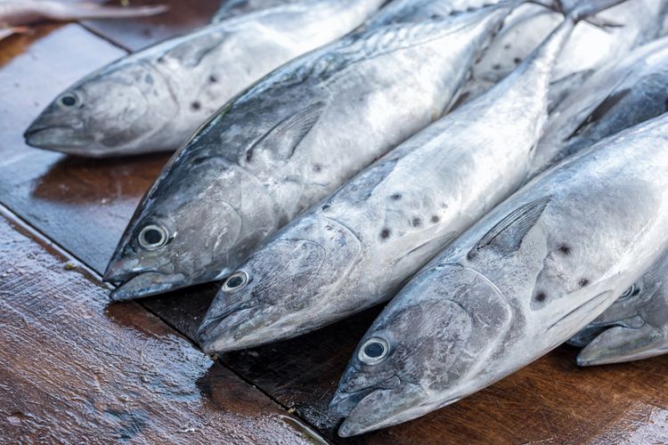 palumara ikan, palumara bandeng, palumara adalah, Pallu Mara, resep sop ikan kuning asam, resep Pallu mara, resep ikan pallu mara, resep palumara cakalang, resep ikan kuah kuning asam, sop ikan khas Makassar, pallu mairo, pallu marang cakalang, Resep Pallu Mara, Kuliner Khas Makassar dengan Kuah Kuning Asam yang Segar