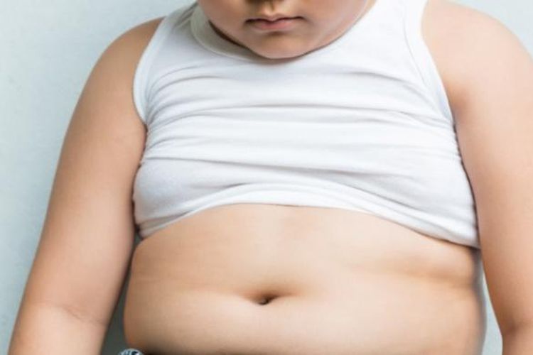perut buncit, lemak visceral, perut buncit anak, anak perut buncit, penumpukan lemak viseral, bahayanya penumpukan lemak viseral pada anak, anak buncit, visceral fat pada anak, Waspada, Perut Buncit pada Anak Bisa Jadi Tanda Penumpukan Lemak Visceral, Apa itu lemak viseral atau visceral fat?, Pola makan jadi pemicu penumpukan lemak viseral, Waktu jeda makan dan camilan sering diabaikan, Risiko jangka panjang kelebihan lemak visceral