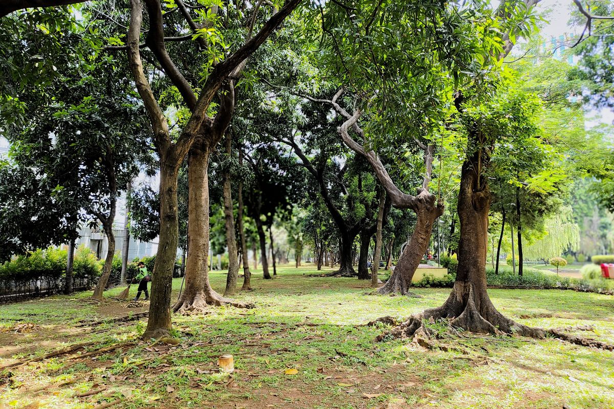 taman di Jakarta Barat, taman cattleya, taman cattleya jakarta barat, taman cattleya buka jam berapa, wisata terbuka hijau di jakarta barat, Menyambangi Taman Cattleya, Wisata Terbuka Hijau di Jakarta Barat