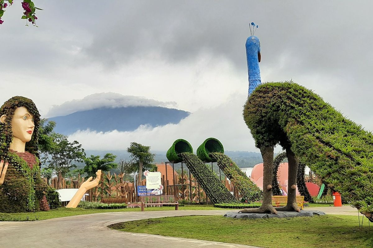 wisata batu love garden malang, wisata sekitar batu love garden, wisata baloga malang, wisata dekat baloga batu, 5 Wisata Sekitar Batu Love Garden, Makin Puas Foto-foto, 1. Coban Lanang, Air Terjun Asri di Pandanrejo, 2. Taman Dolan, Wisata Bernuansa Pedesaan, 3. Kaliwatu Rafting, Serunya Arung Jeram di Batu, 4. Taman Bunga Umbul, Surga Bagi Pecinta Flora, 5. Batu Jati Mas (BJM), Wisata di Tengah Pohon Jati