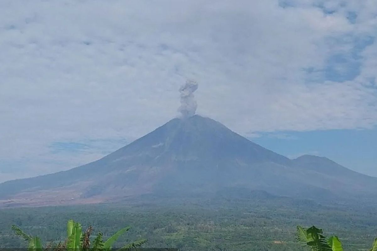 erupsi, Gunung Semeru, Gunung Semeru Erupsi, Tinggi Kolom Letusan 700 Meter