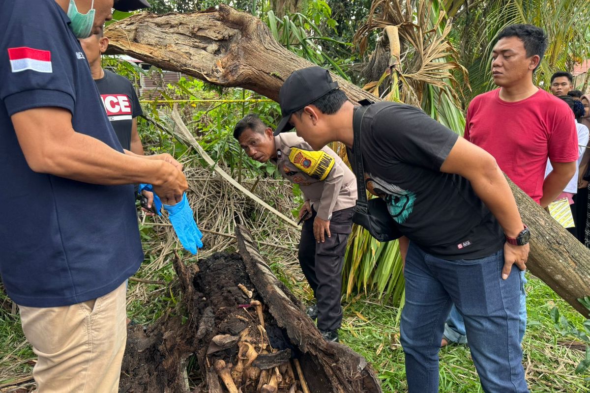 kerangka, kerangka manusia, Serdang Bedagai, sergap penjahat, penemuan kerangka manusia, Sergai, tengkorak sergai, kerangka di dalam pohon, kerangka manusia dalam pohon sergai, Warga Sergai Geger, Kerangka Manusia Ditemukan di Dalam Pohon Aren Tumbang, Kronologi Penemuan Kerangka Manusia di Sergai, Barang Bukti yang Ditemukan, Kaitan dengan Kasus Orang Hilang Tahun 2023, Misteri Tengkorak Manusia dalam Pohon Aren