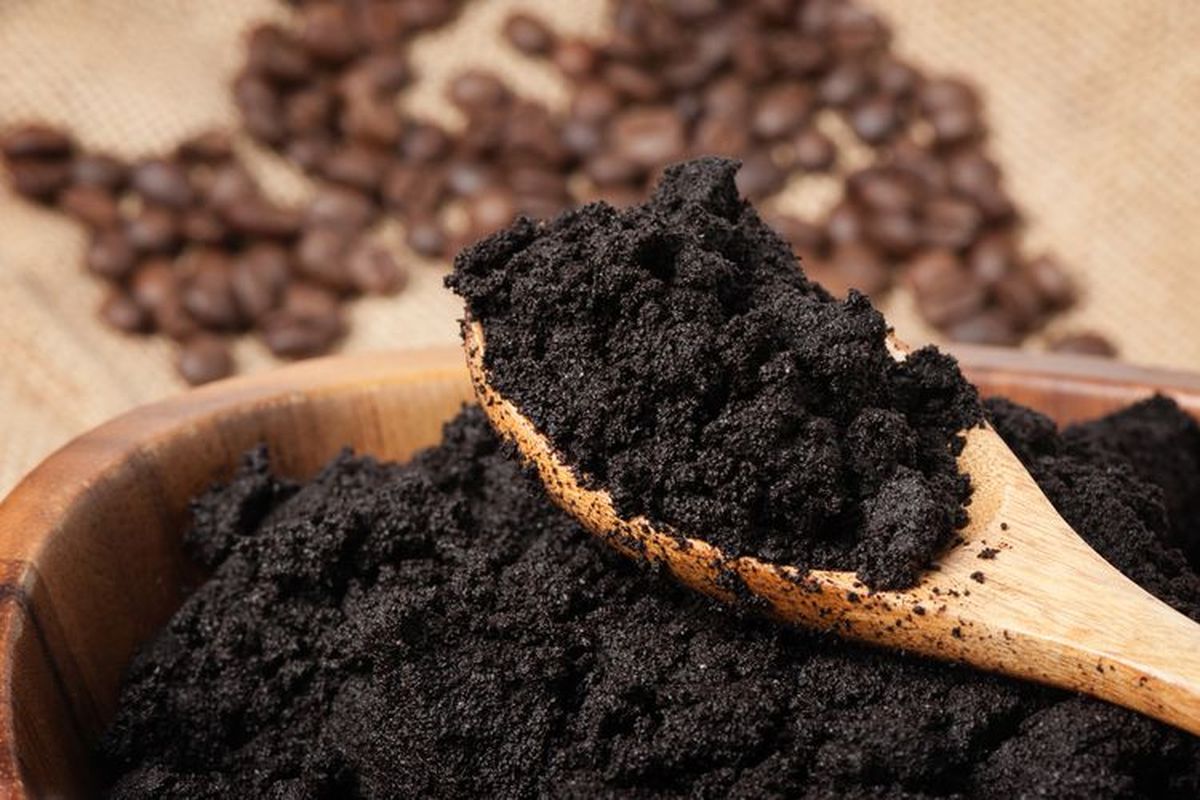 Peneliti BRIN Ubah Limbah Ampas Kopi Jadi Minyak Bernilai Jual Tinggi