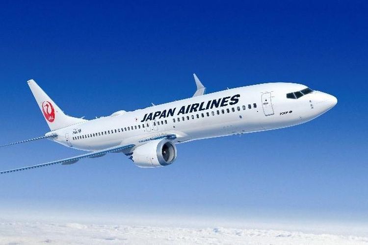 maskapai penerbangan, avtur, 7 Maskapai yang Naikkan Tarif dan Kurangi Rute, Imbas Harga Avtur Naik, 1. Scandinavian Airlines, 2. United Airlines, 3. Vietnam Airlines, 4. Air New Zealand, 5. AirAsia X, 6. JAL dan ANA, 7. Batik Air Malaysia