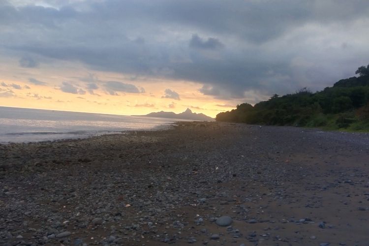 Jurassic Park, Flores, Cara Berkunjung ke Pulau Nuca Molas, Surga Tersembunyi di Selatan Flores yang Mirip Jurassic Park