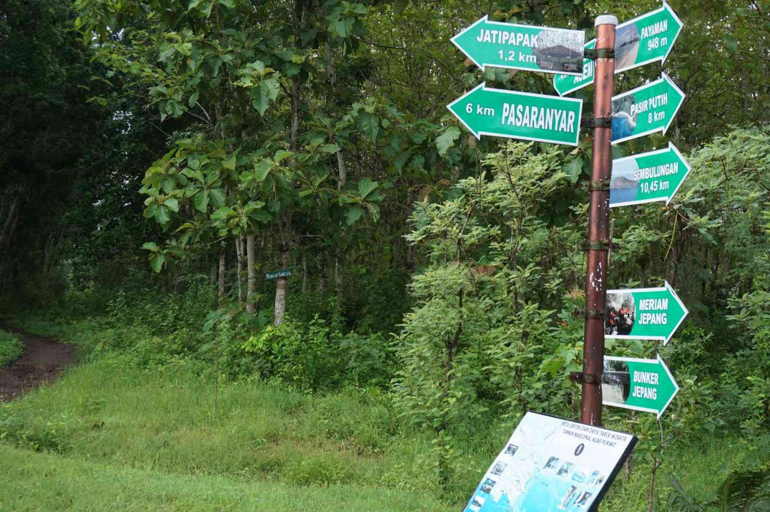Alas Purwo, Jalajah Alas Purwo: Hutan Tertua, Cerita Kawasan Ghaib, dan Pura Kawitan