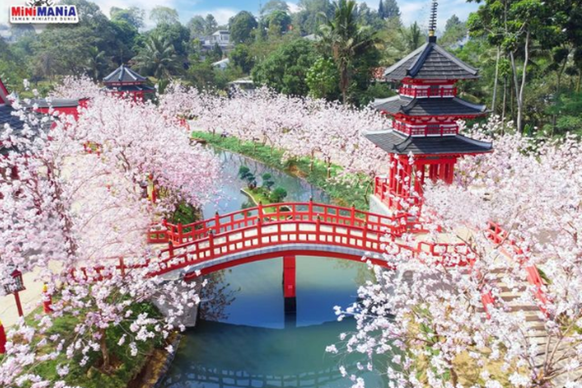 Puncak Bogor, tempat wisata di Puncak Bogor, libur sekolah, tempat wisata di bogor, tempat wisata di puncak bogor, puncak bogor, wisata bogor, 13 Tempat Wisata di Puncak Bogor, Cocok untuk Libur Sekolah dan Keluarga, 1. Agrowisata Gunung Mas: Jelajah Kebun Teh dan Wahana Seru, 2. Kentring Manik: Tempat Makan Hidden Gem di Jalur Puncak, 3. MiniMania Puncak: Keliling Dunia Tanpa Paspor, 4. Kembali ke Alam Puncak: Restoran Tepi Sungai Buka 24 Jam, 5. Enchanting Valley by Taman Safari: Wisata Keluarga Bernuansa Alam, 6. Kopi Tubing Puncak: Wisata Kuliner Plus Petualangan Sungai, 7. Cimory Dairyland Farm Theme Park: Dunia Peternakan Ramah Anak, 8. Taman Bunga Nusantara: Hamparan Bunga untuk Healing Keluarga, 9. Kuntum Farmfield: Bertani dan Berkuda di Tengah Kota, 10. Taman Safari Bogor: Ikon Wisata Satwa di Indonesia, 11. The Ranch Puncak: Naik Kuda dan Bertemu Hewan Lucu, 12. Nicole’s River Park: Wisata Foto dan Mini Zoo Kekinian, 13. Sakura Park MiniMania: Spot Foto Ala Jepang di Tengah Bogor