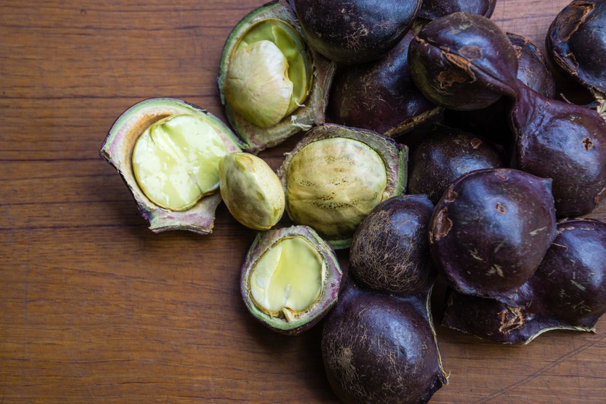 Jengkol, cara hilangkan bau jengkol, Cara Hilangkan Bau dan Rasa Pahit Jengkol, cara hilangkan pahit jengkol, Cara Hilangkan Bau dan Rasa Pahit Jengkol, Makin Nikmat Dikonsumsi, Menggunakan daun salam, Rendam dengan air kapur sirih, Rebus dengan air kapur sirih, Rebus dengan abu gosok, Menggunakan daun jeruk, Rebus dengan daun jambu biji dan daun teh