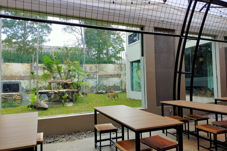 aktivitas outdoor lembang, feeding hewan lembang park zoo, spot foto anak di bandung, liburan anak di lembang, Aktivitas Outdoor di Lembang Park &amp; Zoo, Feeding Hewan dan Spot Foto, Feeding Gajah di Lembang, Momen Seru Bareng Si Kecil, Serunya Keeper Talk, Belajar Langsung dari Pawang Satwa, Jelajah Kampung Satwa, Surga Satwa Jinak di Lembang, Eksplor Big Bird Aviary, Bertemu Burung Warna-Warni, Petting Zoo Lembang, Kasih Makan Hewan Mini dan Berfoto