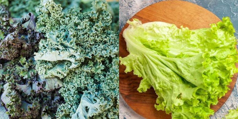 Menyegarkan sayuran layu, cara menyegarkan sayuran yang layu, sayuran layu, Sayur Layu Jadi Segar Lagi dalam 15 Menit, Begini Caranya, Kenapa sayuran bisa layu?, Kuncinya ada pada suhu air, Cara melakukan "heat shock” pada sayuran layu, Tak hanya untuk selada