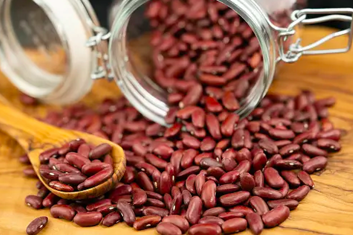 Kacang merah, Cara Mengolah Kacang Merah yang Aman dan Bernutrisi, Ternyata Gampang