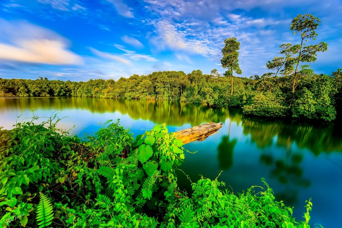 Bali, 6 Tempat Wisata Indonesia yang Pernah Dikunjungi Artis Hollywood dan Tokoh Dunia, 1. Bali (Ubud dan Uluwatu), 2. Pulau Komodo, Nusa Tenggara Timur, 3. Candi Borobudur, Magelang, 4. Taman Nasional Gunung Leuser, Aceh dan Sumatra Utara, 5. Pulau Moyo, Nusa Tenggara Barat, 6. Mentawai, Sumatra Barat