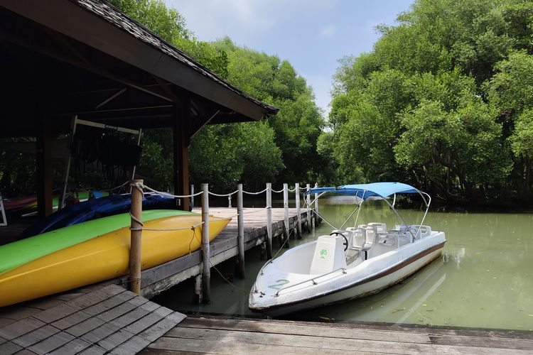 taman wisata alam angke kapuk, jakarta ecotourism festival 2025, jakarta ecotourism 2025, Cara berkunjung ke TWA Angke Kapuk, taman wisata alam angke kapuk jakarta utara, angke kapuk mangrove, Cara Berkunjung ke TWA Angke Kapuk, Bisa Langsung Datang