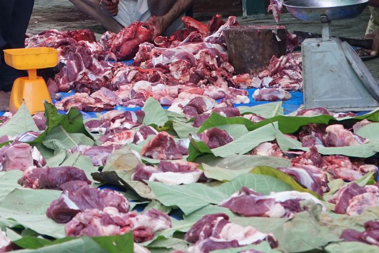 hewan kurban stres, idul adha 2025, kurban 2025, mengapa rasa daging kurban berbeda, tips menjaga kualitas daging kurban, kurban adalah, Rasa Daging Kurban Cenderung Berbeda dari Daging di Pasaran, Ini Kata Dokter Hewan, Perubahan pH pada daging, Pengaruh stres terhadap kualitas daging, 1. Long-term stress, 2. Short-term stress, Pentingnya pemotongan sesuai standar