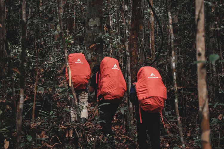 EIGER, Kalender Event EIGER 2026, Ada Kompetisi Panjat Tebing Internasional