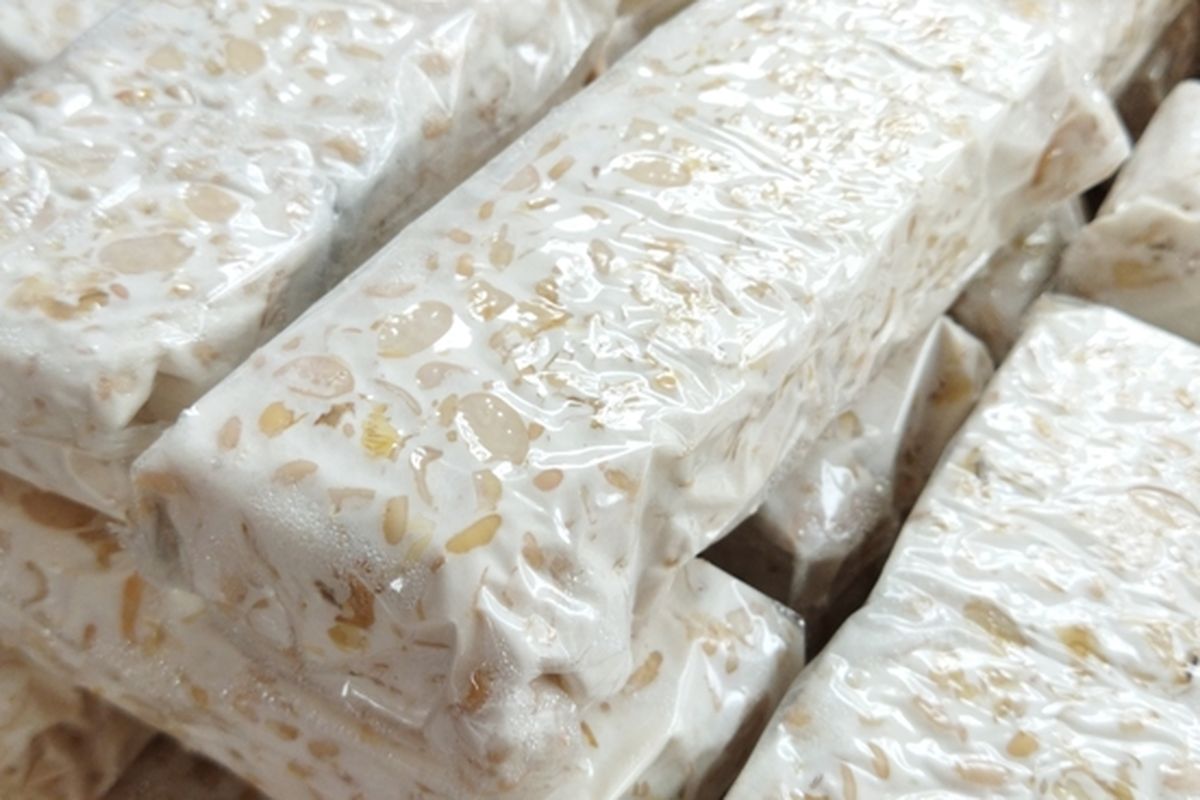 Makan Bergizi Gratis, pabrik tempe, dapur MBG, Jakarta Timur, Geliat Pabrik Tempe di Kramat Jati yang Suplai Kebutuhan Dapur MBG