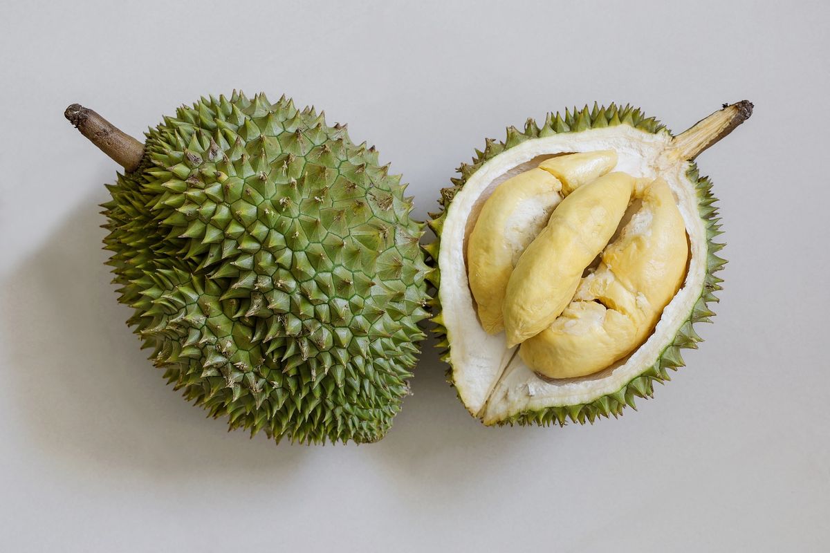 indeks glikemik durian, durian naikkan gula darah, apakah durian picu diabetes, kandungan gula buah durian, Benarkah Buah Durian Tingkatkan Kadar Gula Darah, Bisa Picu Diabetes?, Benarkah Buah Durian Tingkatkan Kadar Gula Darah, Bisa Picu Diabetes?, Kandungan Gula Durian Tetap Perlu Diwaspadai, Durian Aman untuk Diabetes, Tapi Batasi Konsumsi, Boleh Makan Durian, Asal Tak Berlebihan