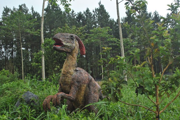 Purbalingga, wisata, 5 Rekomendasi Wisata Alam di Purbalingga untuk Libur Lebaran, 1. D’Las Lembah Asri Serang, 2. Situ Tirta Marta, 3. Goa Lawa, 4. Curug Karang, 5. Pendakian Gunung Slamet