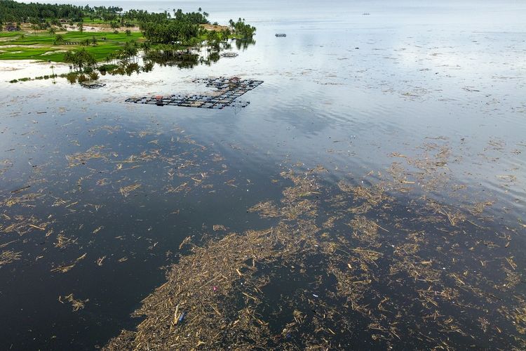 sampah kayu, Danau Singkarak, Sumatera Barat, kayu gelondongan, sumatera barat, banjir sumatera, BERITA FOTO: Penampakan Kayu Gelondongan Selimuti Danau Singkarak di Sumbar Usai Banjir