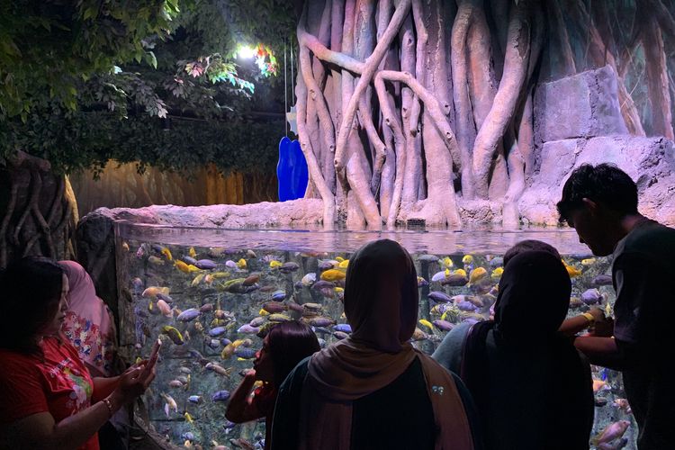 8.000 Orang Padati Oceanarium BXSea, Ini Tips ke Sana agar Tetap Seru