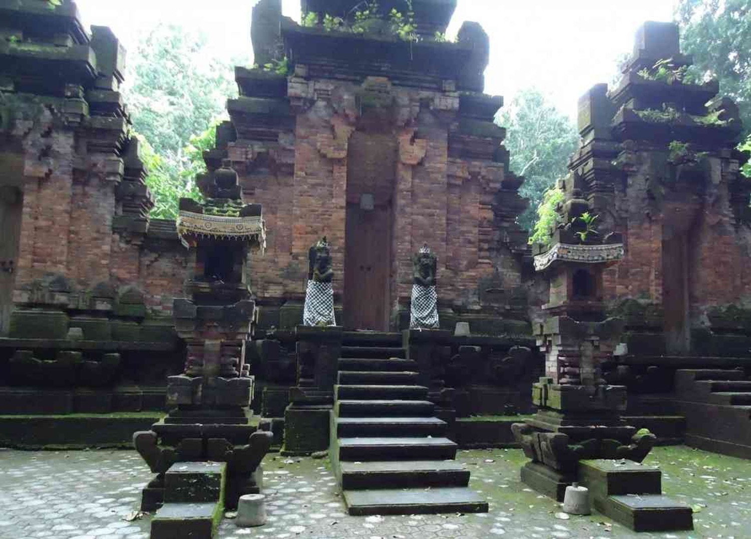 Alas Purwo, Jalajah Alas Purwo: Hutan Tertua, Cerita Kawasan Ghaib, dan Pura Kawitan