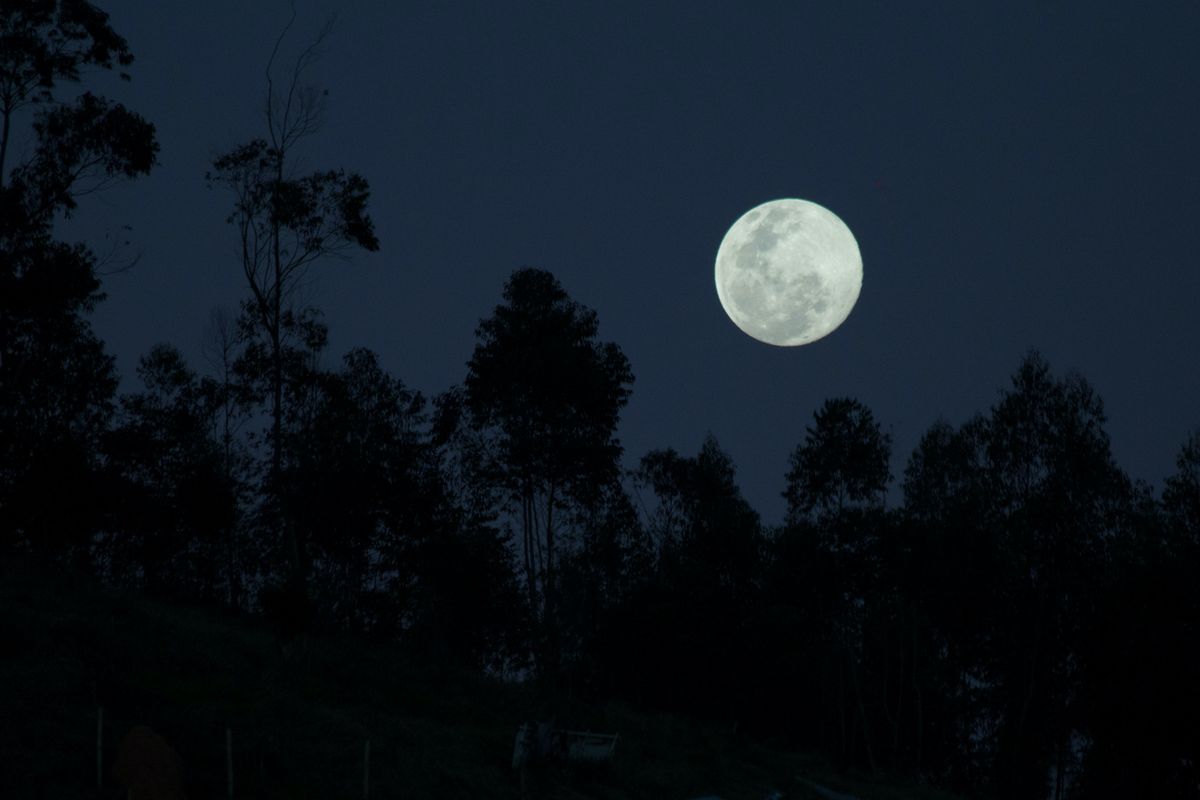 bulan purnama, Zodiak Januari 2026, Perubahan Karier dan Cinta yang Dipengaruhi Bulan Purnama, Aries (21 Maret - 19 April), Taurus (20 April - 20 Mei), Gemini (21 Mei - 20 Juni), Cancer (21 Juni - 22 Juli), Leo (23 Juli - 22 Agustus), Virgo (23 Agustus - 22 September), Libra (23 September - 22 Oktober), Scorpio (23 Oktober - 21 November), Sagittarius (22 November - 21 Desember), Capricorn (22 Desember - 19 Januari), Aquarius (20 Januari - 18 Februari), Pisces (19 Februari - 20 Maret)