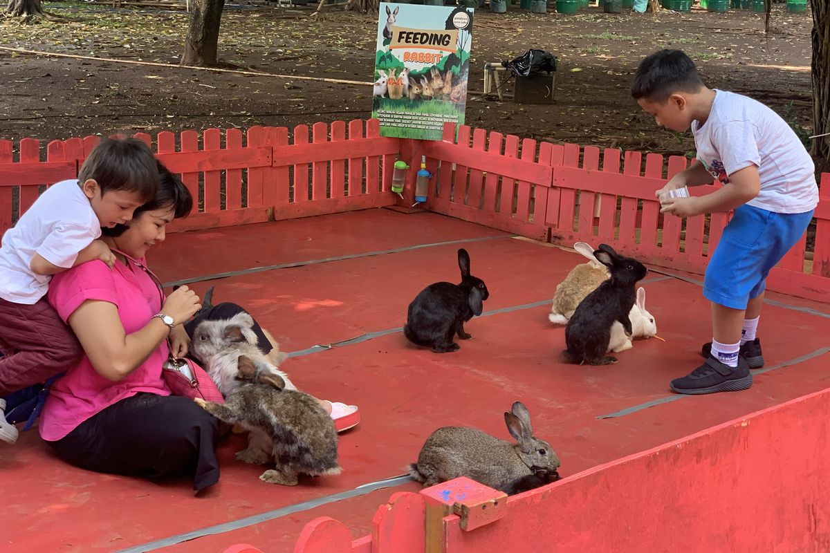pameran flona di lapangan banteng 2025, pameran flona 2025, aktivitas wisata di pameran flona 2025, ada apa saja di pameran flona 2025, bisa ngapain saja di pameran flona 2025, 5 Aktivitas Wisata di Pameran Flona 2025, Feeding Satwa Bayar Berapa?, 1. Belanja tanaman , 2. Beli hewan peliharaan, 3. Berinteraksi dan memberi makan hewan, 4. Mampir ke stan Taman Margasatwa Ragunan, 5. Berfoto di banyak spot