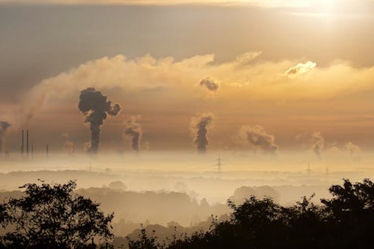Tanggal 28 Januari Hari Apa? Berikut Peringatan Nasional dan Internasional, HUT Provinsi Kalimantan Barat, Hari Pengurangan Emisi CO2 Internasional, Hari Keterlibatan Komunitas Global, Hari Privasi Data