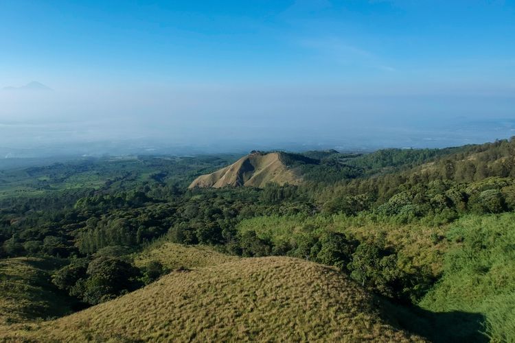 hutan pinus, Malang, wisata hutan pinus, 5 Wisata Hutan Pinus di Malang Raya untuk Liburan Sejuk, 1. Hutan Pinus Candi Sumberawan, 2. Goa Pinus Pujon, 3. Budug Asu, 4. Hutan Pinus Bedengan, 5. Sumbersuko Forest Park