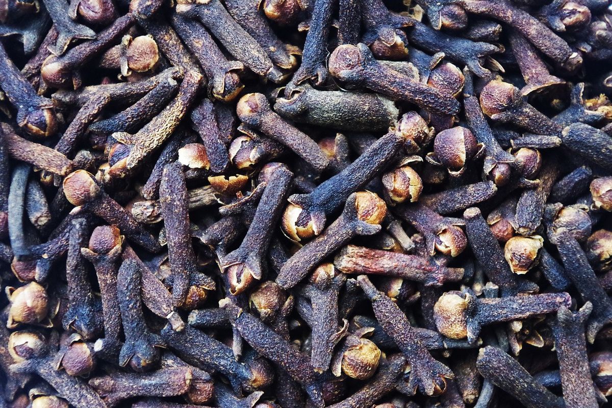 Cengkih, cengkeh, cengkih, manfaat cengkeh, manfaat cengkih bagi kesehatan, manfaat cengkih, Manfaat Menambahkan Cengkih di Masakan, Bikin Lezat dan Menyehatkan