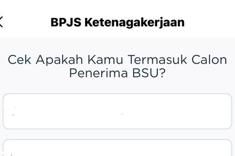 Bantuan Subsidi Upah, BPJS Ketenagakerjaan, BSU 2025, aplikasi JMO, Aplikasi JMO, BSU 2025 Cair Mulai Juni, Begini Cara Cek Status Anda via Aplikasi JMO