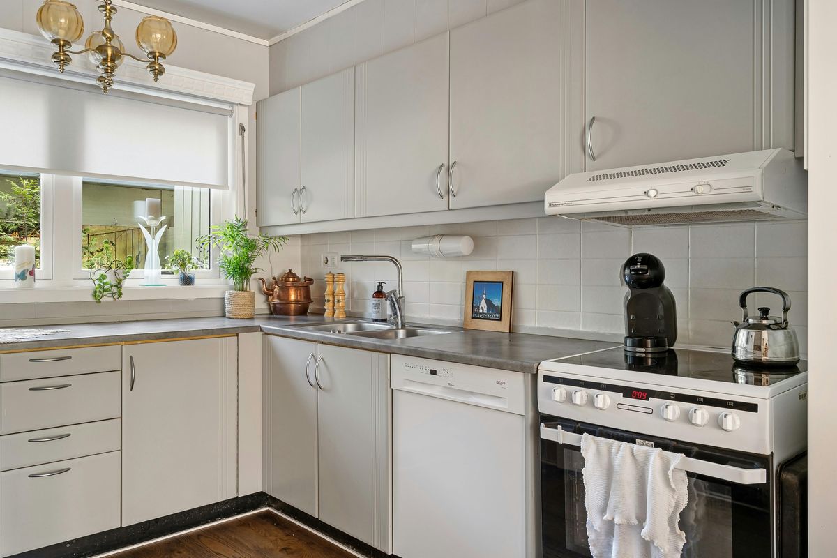 cara mengusir semut, bahan dapur pengusir semut, cara alami basmi semut, tips rumah tangga praktis, 13 Cara Basmi Semut di Rumah Pakai Bahan Dapur, Pembersih Kaca dan Sabun Cuci Piring, Lada Hitam atau Cabai Bubuk, Minyak Peppermint, Minyak Tea Tree, Minyak Lemon Eucalyptus, Cuka Putih, Air Mendidih, Tepung Maizena, Minyak Daun Kayu Manis, Ampas Kopi, Cek Tanaman Hias