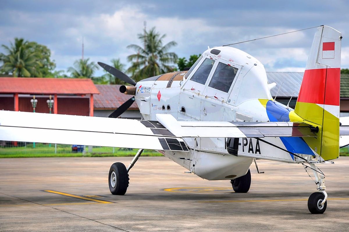 Pelita Air, Jenis Pesawat Pelita Air yang Jatuh di Perbatasan Indonesia-Malaysia