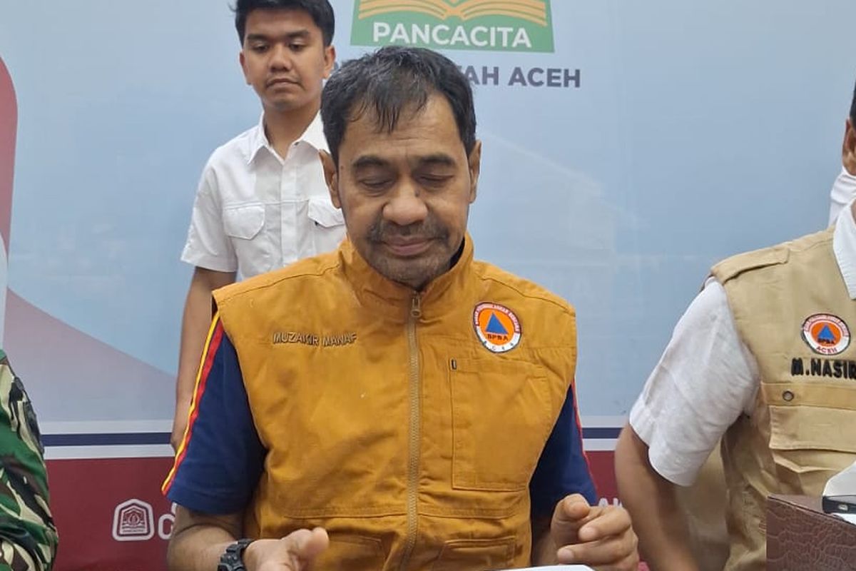 kayu, Mualem, Gubernur Aceh, Tim Pendeteksi Mayat dari China Terkendala, Mualem: Tidak Maksimal, Terhalang Kayu-kayu