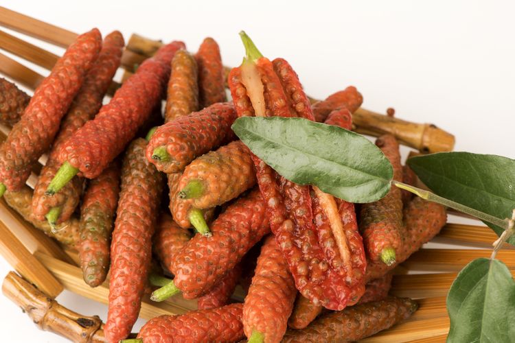 sejarah sambal, sejarah cabai, sejarah rasa pedas, sejarah sambal di indonesia, sejarah rasa pedas di Indonesia, cabai Capsicum, sejarah cabai jawa, capsicum, cabya, sejarah cabya, Cabya jawa, Sejarah Cita Rasa Pedas di Nusantara, dari Cabya Jawa hingga Cabai Capsicum, Era Pra-Sambal di Jawa Kuno, Cabya, Si Pedas dari Jawa, Sambal di Masa Kuno, Lada dari India dan Perdagangan Rempah, Kedatangan Cabai Capsicum ke Nusantara, Perubahan Selera, dari Lada ke Cabai, Kedatangan Cabai Capsicum ke Nusantara, Jejak Kata dan Identitas Pedas Nusantara
