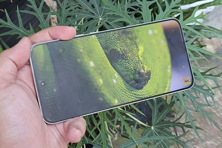 Smartphone, ponsel, Oppo, bodi, oppo reno 14 pro, Menggenggam Oppo Reno 14 Pro, Bodi Besar Kamera Ciamik, Desain punggung cantik, Layar luas dan terang, Performa jempolan, Kamera bagus dan mudah dipakai