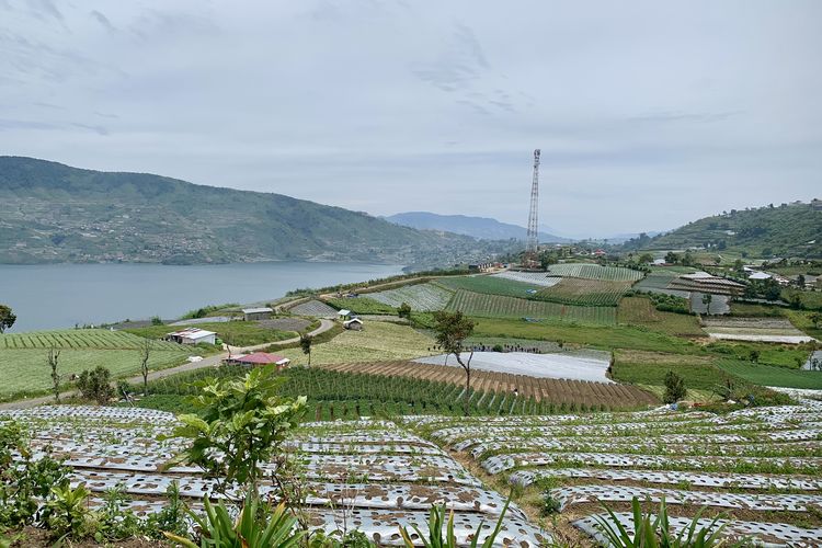 Tempat Wisata di Sumatera Barat, tempat wisata di sumatera barat yang wajib dikunjungi, tempat wisata di alahan panjang terbaru, tempat wisata di alahan panjang yang lagi hits, tempat wisata di alahan panjang sumbar, 5 Tempat Wisata di Alahan Panjang, dari Danau hingga Peternakan Sapi Perah, 1. Sirukam Dairy Farm, 2. Danau Diateh, 3. Kopi Solok Radjo, 4. Danau Dibawah, 5. Kebun Teh Alahan Panjang