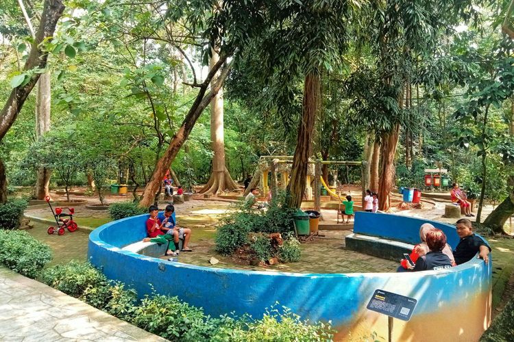 Hutan Kota Srengseng, Hutan Kota di Jakarta Barat, hutan kota srengseng tutup jam berapa, hutan kota srengseng buka jam berapa, hutan kota srengseng bayar berapa, Panduan Lengkap ke Hutan Kota Srengseng, Healing Murah Meriah di Jakarta Barat, Lokasi Hutan Kota Srengseng, Jam buka Hutan Kota Srengseng, Harga tiket masuk Hutan Kota Srengseng, Bisa ngapain aja di Hutan Kota Srengseng?, Tips berkunjung ke Hutan Kota Srengseng
