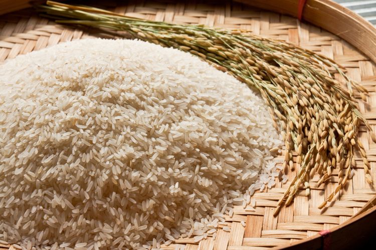 beras oplosan, ciri beras oplosan, Beras Oplosan, beras oplosan bulog, bahaya beras pemutih, nasi tidak cepat basi, tips memilih beras, Jangan Asal Beli, Ini Ciri-Ciri Beras Oplosan dari Tampilan Luar, Warna Terlalu Putih, Warna Tidak Seragam, Nasi dari Beras Oplosan Tidak Mudah Basi, Aroma dan Tekstur Beras Berbeda