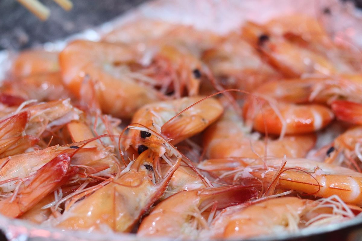 Udang, udang, Tips makan udang, Amankah Memakan Kotoran di Punggung Udang?